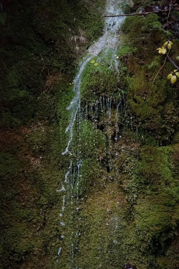 DSC05861